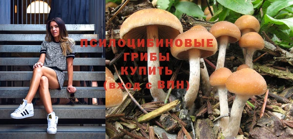 герыч Верея