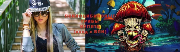 ешки Богородицк