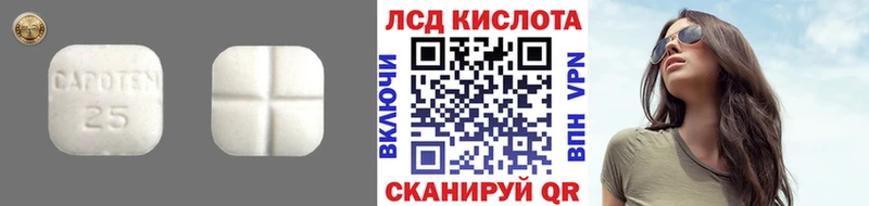 LSD-25 экстази кислота  Талица 