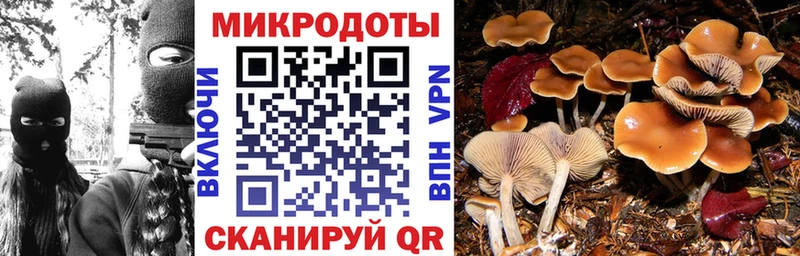 Галлюциногенные грибы GOLDEN TEACHER  как найти закладки  Талица 